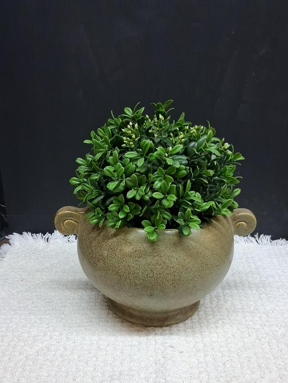 mid-century‎ McCoy? Floraline pottery planter